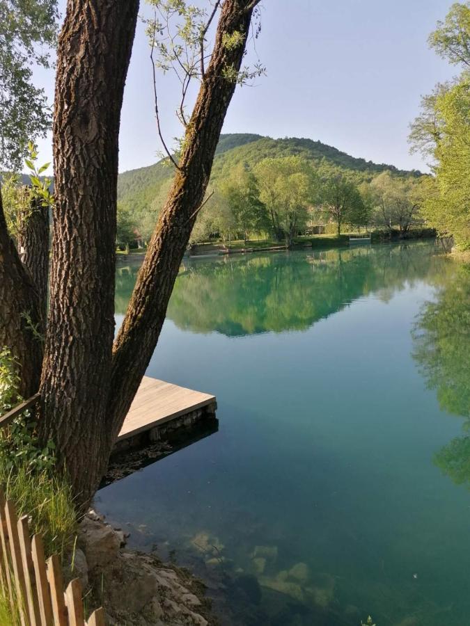 Vila Kuca Delic Racic Exteriér fotografie