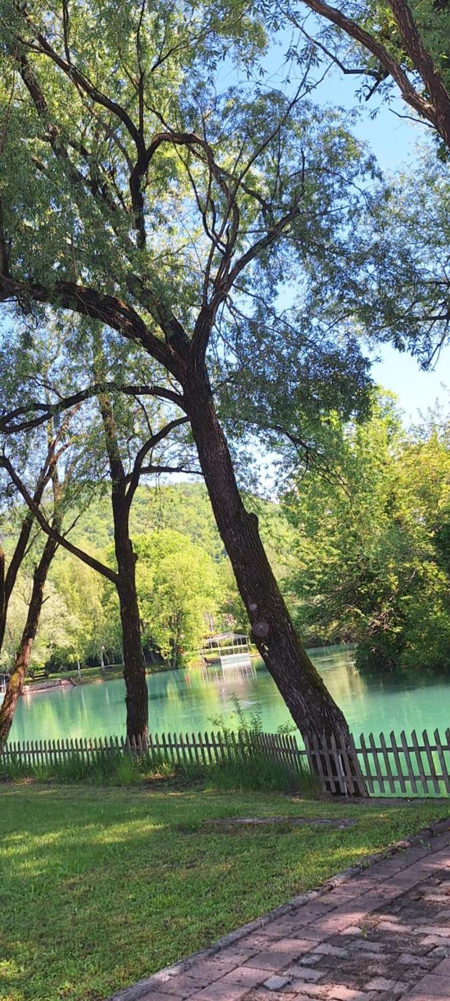 Vila Kuca Delic Racic Exteriér fotografie