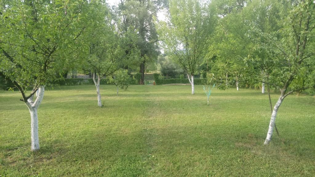 Vila Kuca Delic Racic Exteriér fotografie