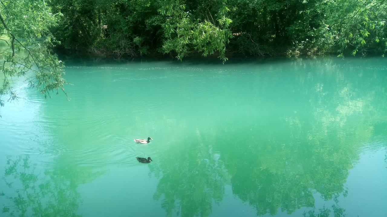 Vila Kuca Delic Racic Exteriér fotografie