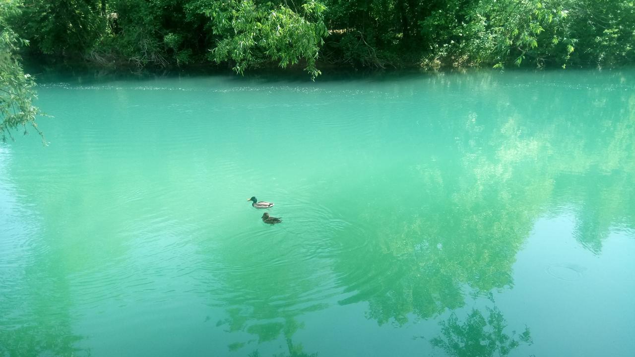 Vila Kuca Delic Racic Exteriér fotografie