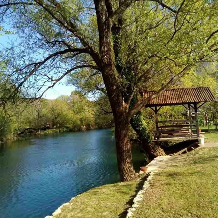 Vila Kuca Delic Racic Exteriér fotografie